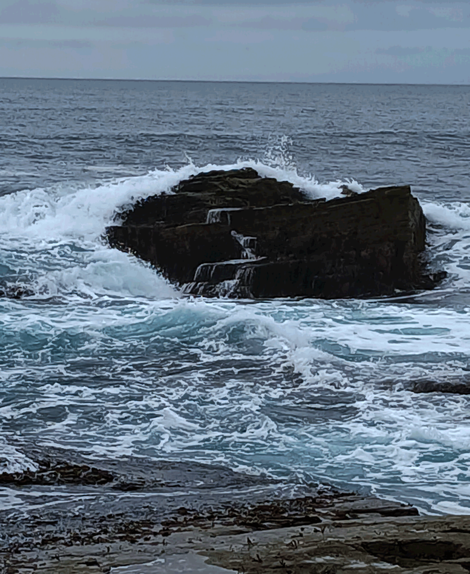 a mottled landscape in whites, greys, and blacks - the slow exhalation of an oncoming wave